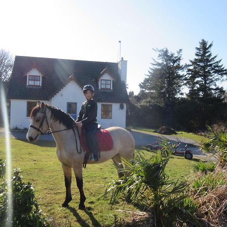 Letterfrack Farmhouse On Equestrian Farm In Letterfrack Beside Connemara National Park Tullywee Bridge Екстериор снимка