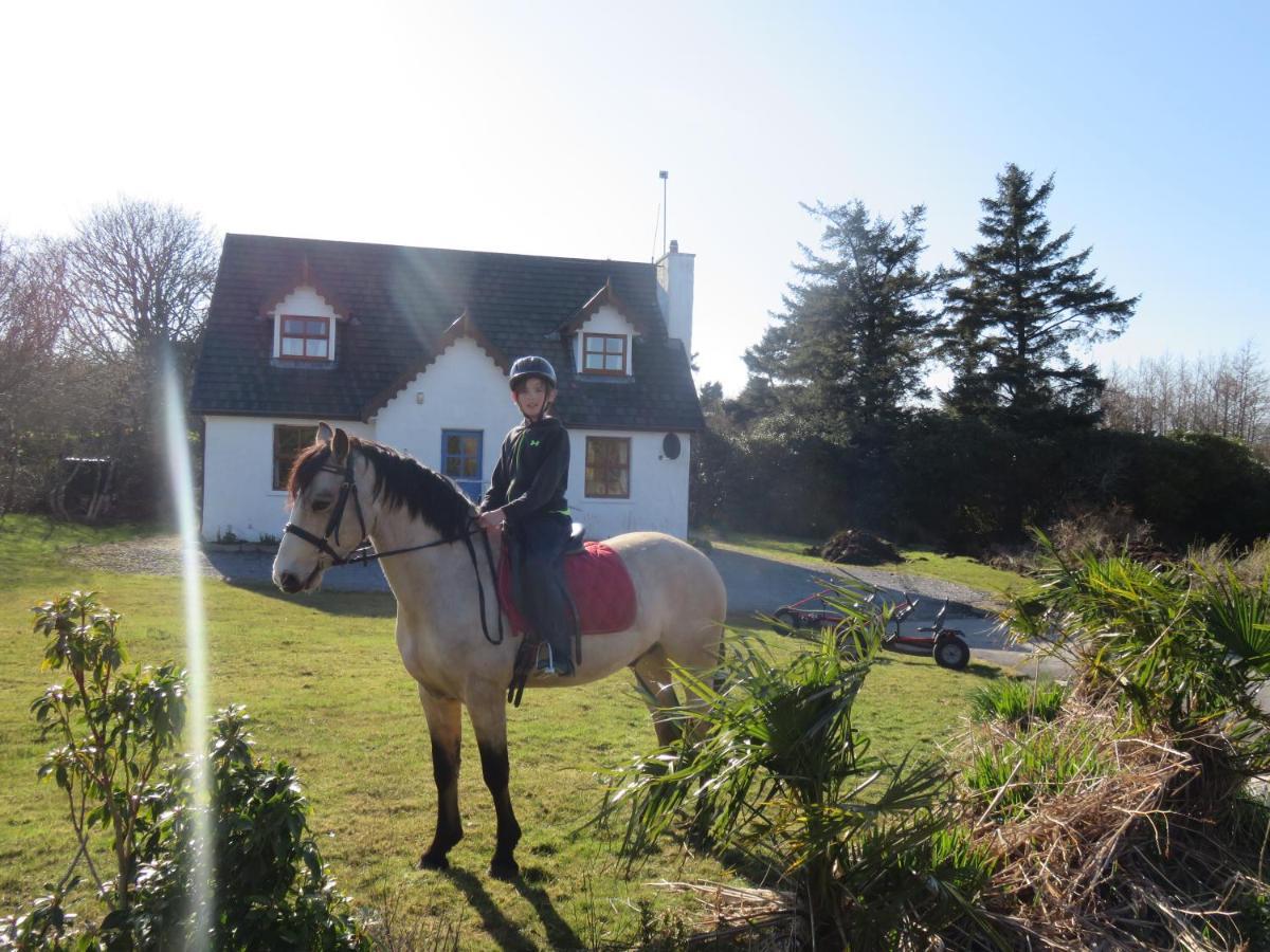 Letterfrack Farmhouse On Equestrian Farm In Letterfrack Beside Connemara National Park Tullywee Bridge Екстериор снимка