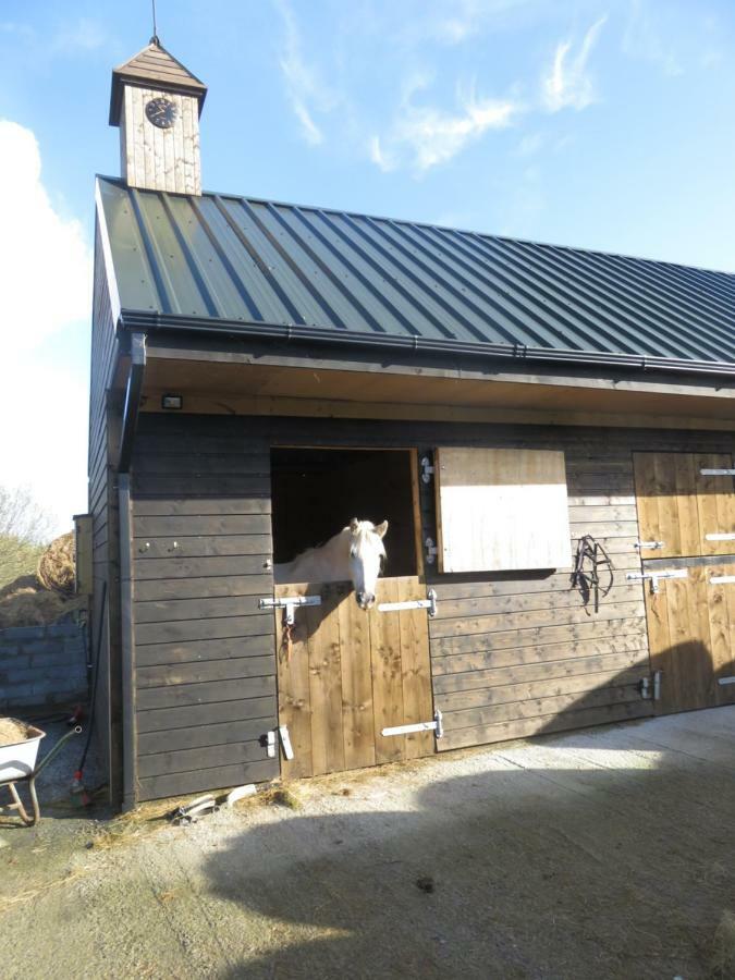 Letterfrack Farmhouse On Equestrian Farm In Letterfrack Beside Connemara National Park Tullywee Bridge Екстериор снимка